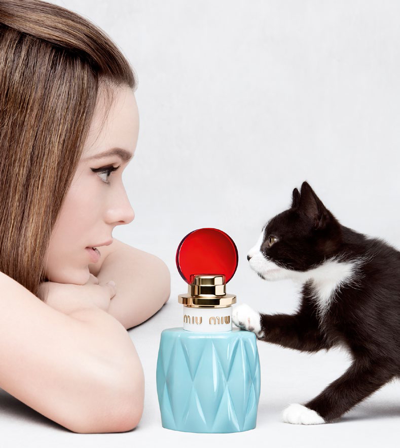 MIU MIU Prada