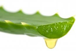 Bio Enzymes Mask Escote, de Talika