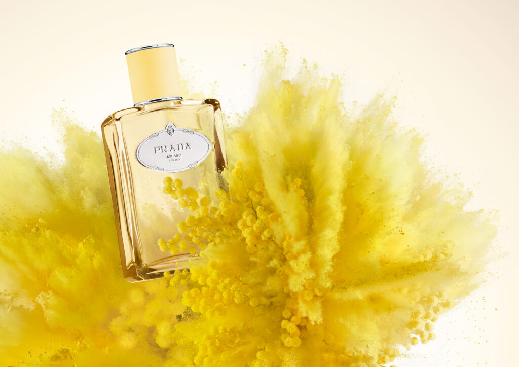 LES INFUSIONS DE PRADA INFUSION MIMOSA