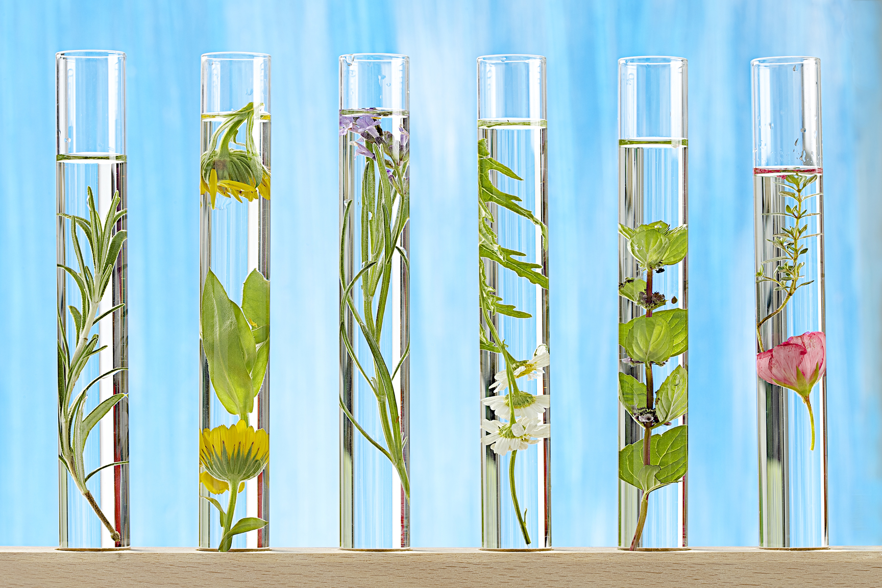 cosmética personalizada carrusel