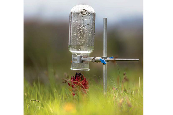 The Body Shop Elixir of Nature, técnica Headspace