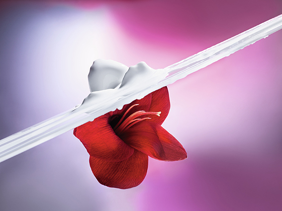 Dior flor de hibisco