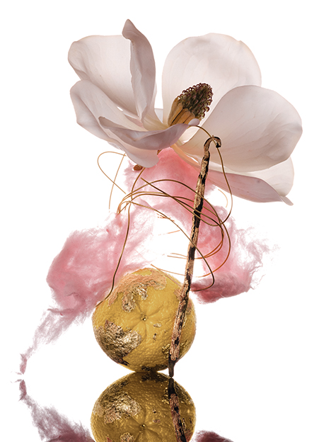 Loewe Aura White Magnolia