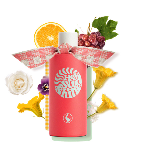 EL GANSO SOUL, perfume Hey Sunshine