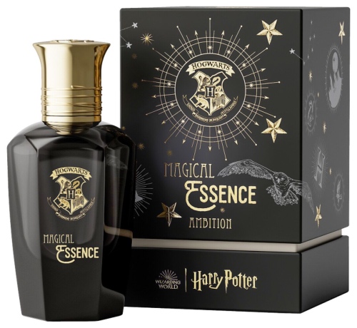 Ambition Harry Potter