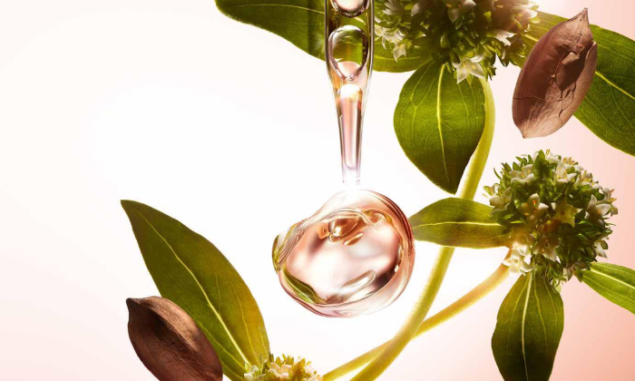 Clarins Extra-Firming ingredientes