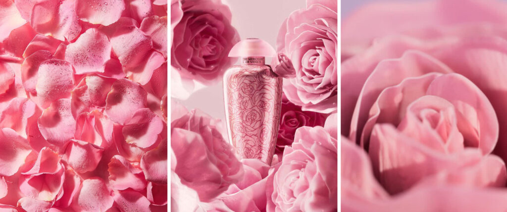 Rosa Moceniga Elixir The Merchant of Venice