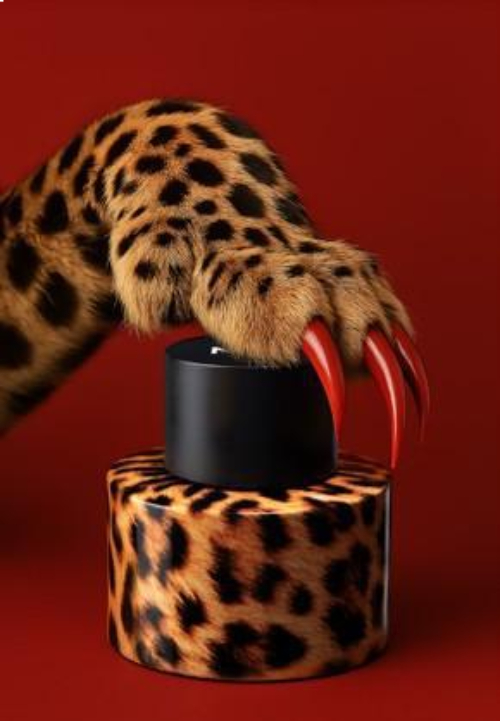 New Notes Modern Liquids Felina