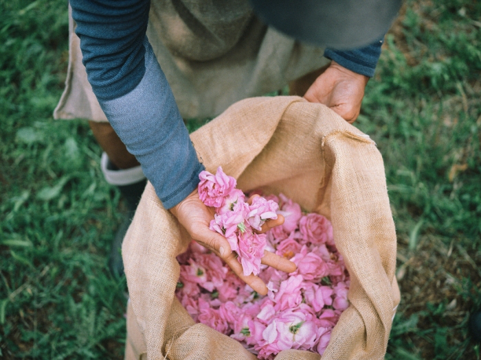 Onitsuka Tiger fragancias