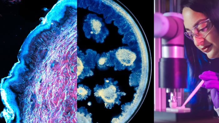 L'Oréal Institut Pasteur