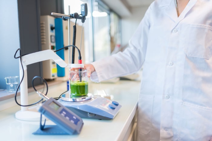 Rocher Dassault Systèmes