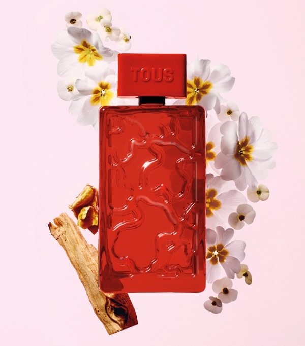 Tous Kaos in Red